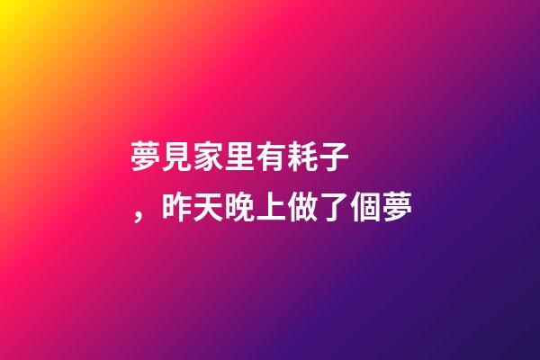 夢見家里有耗子，昨天晚上做了個夢-第1張-觀點-玄機派
